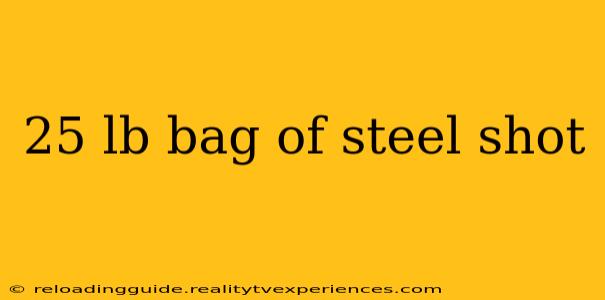 25 lb bag of steel shot