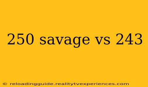 250 savage vs 243