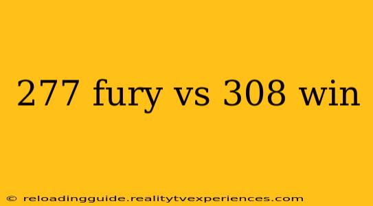 277 fury vs 308 win