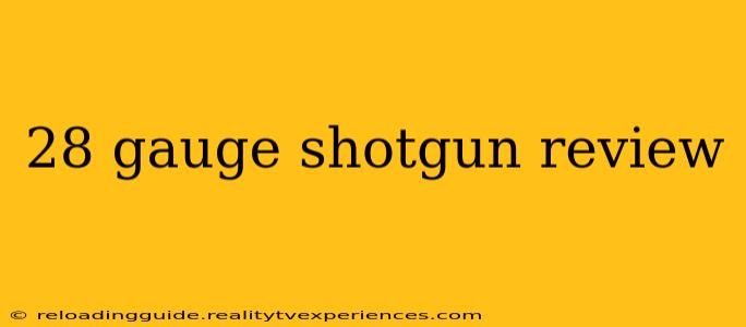 28 gauge shotgun review