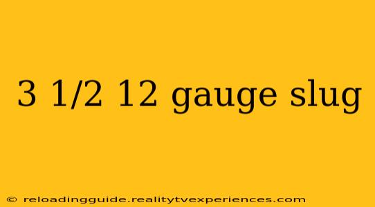 3 1/2 12 gauge slug