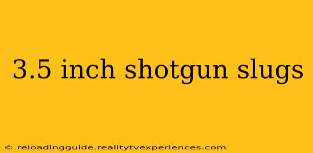 3.5 inch shotgun slugs