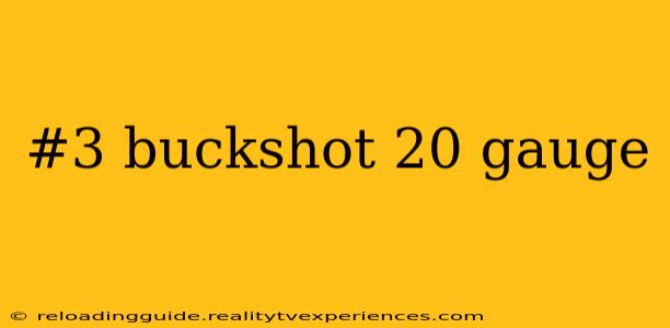 #3 buckshot 20 gauge