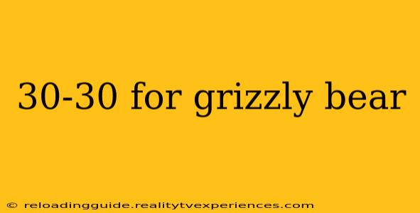 30-30 for grizzly bear