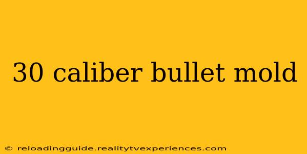 30 caliber bullet mold