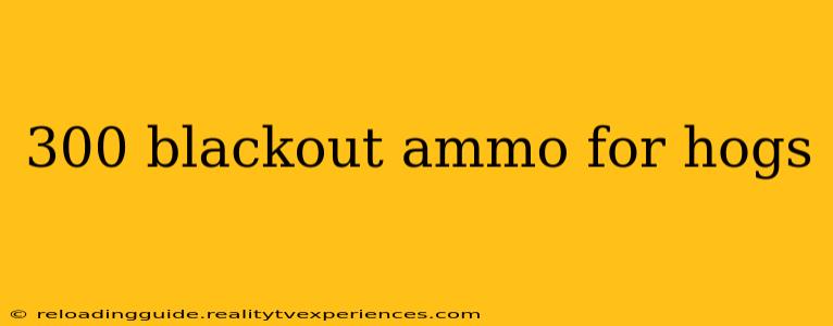 300 blackout ammo for hogs