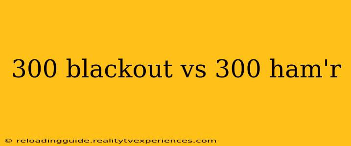 300 blackout vs 300 ham'r