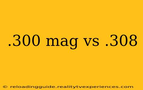 .300 mag vs .308