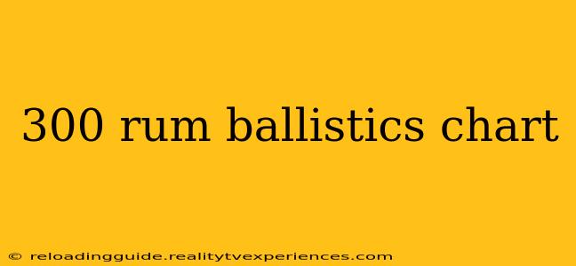 300 rum ballistics chart