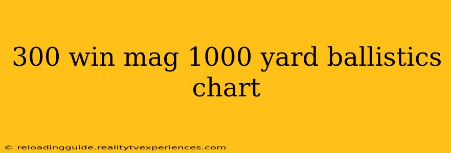 300 win mag 1000 yard ballistics chart