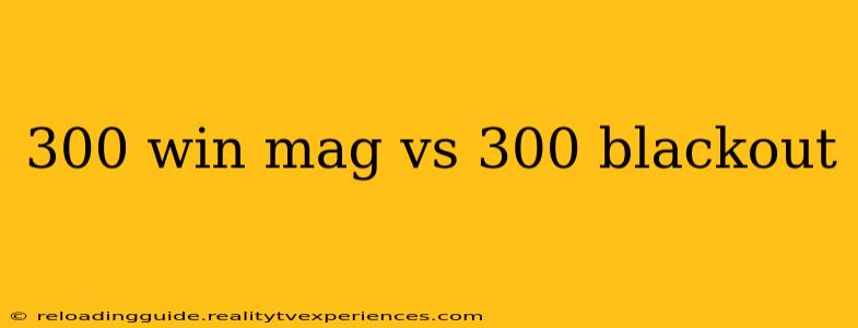 300 win mag vs 300 blackout