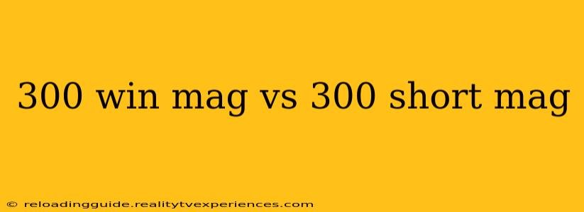 300 win mag vs 300 short mag