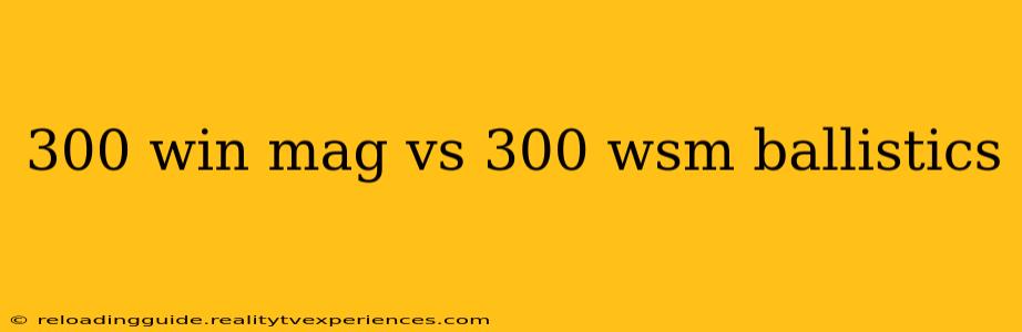 300 win mag vs 300 wsm ballistics