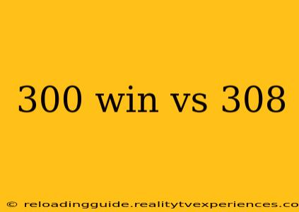 300 win vs 308