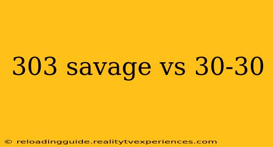 303 savage vs 30-30