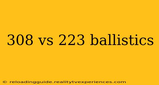 308 vs 223 ballistics