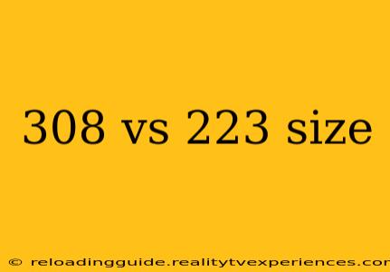 308 vs 223 size