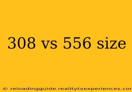 308 vs 556 size