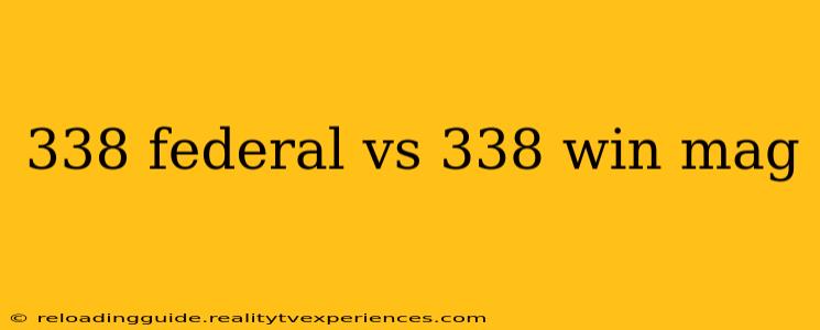 338 federal vs 338 win mag