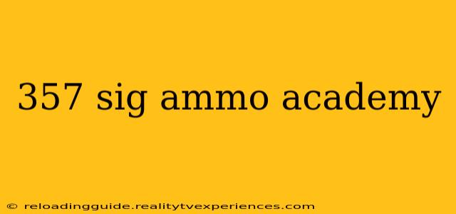 357 sig ammo academy