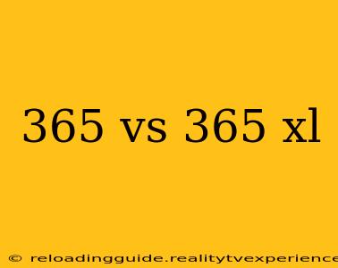 365 vs 365 xl