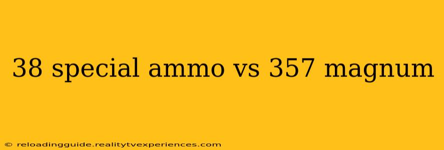 38 special ammo vs 357 magnum