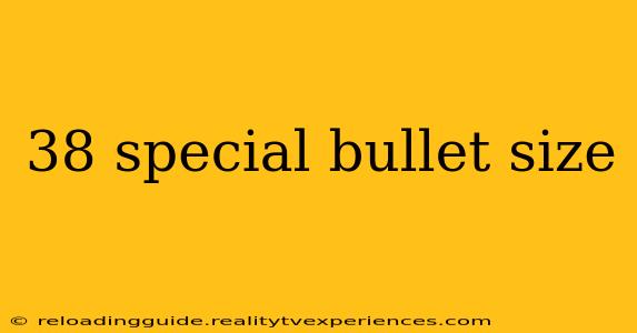 38 special bullet size