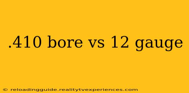 .410 bore vs 12 gauge