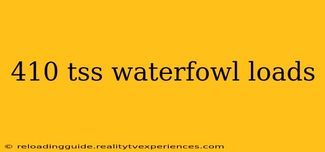 410 tss waterfowl loads