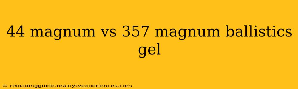 44 magnum vs 357 magnum ballistics gel