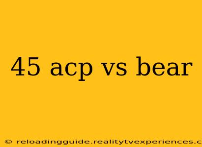 45 acp vs bear