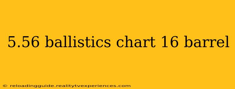 5.56 ballistics chart 16 barrel