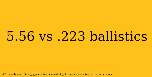 5.56 vs .223 ballistics