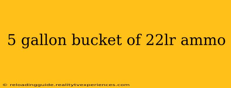 5 gallon bucket of 22lr ammo