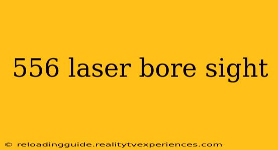 556 laser bore sight