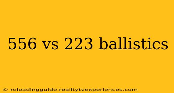 556 vs 223 ballistics