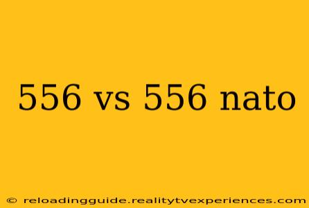 556 vs 556 nato