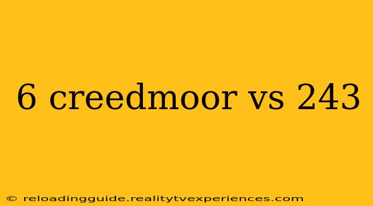 6 creedmoor vs 243