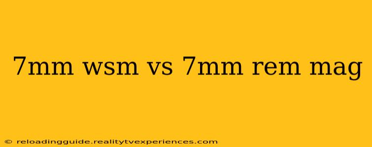 7mm wsm vs 7mm rem mag