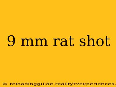 9 mm rat shot