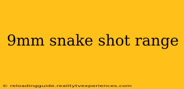 9mm snake shot range