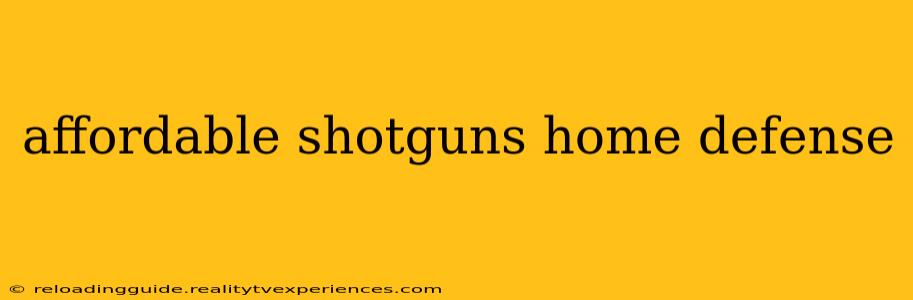 affordable shotguns home defense