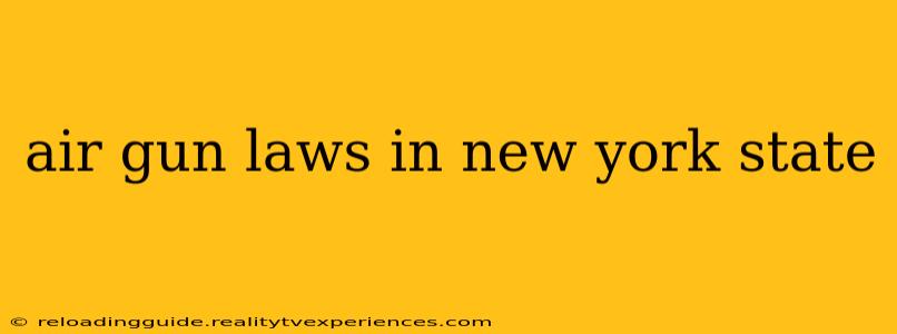 air gun laws in new york state