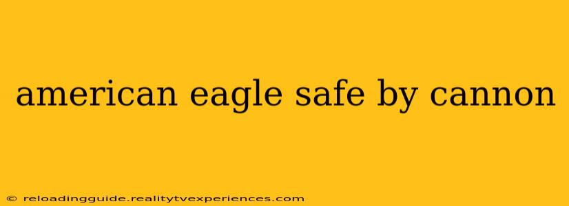 american eagle safe by cannon