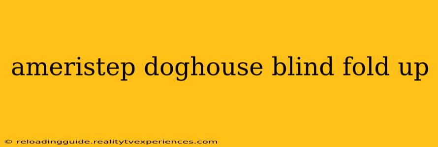 ameristep doghouse blind fold up