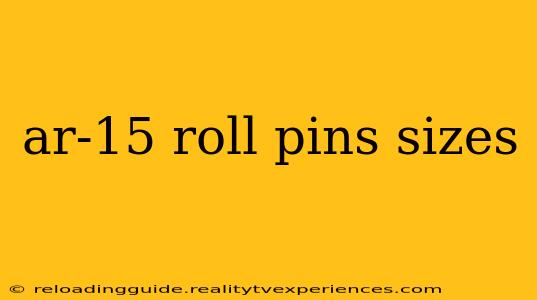 ar-15 roll pins sizes