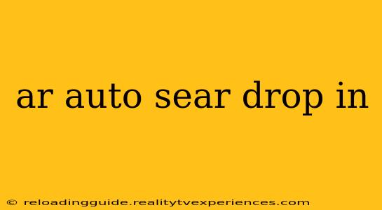 ar auto sear drop in