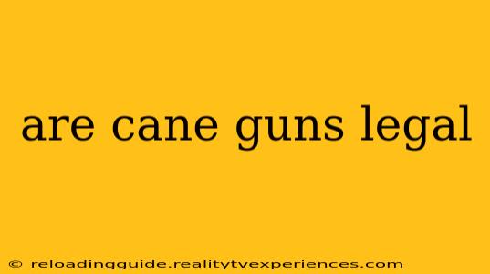 are cane guns legal