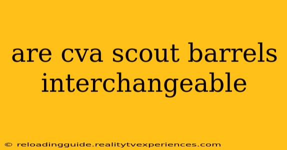 are cva scout barrels interchangeable