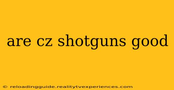 are cz shotguns good